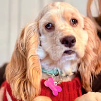 Thumbnail photo of Frannie #2