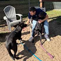 Thumbnail photo of Genji #4