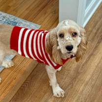 Thumbnail photo of Frannie #3