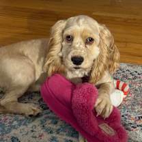 Thumbnail photo of Frannie #4