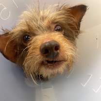 Thumbnail photo of Rodger #2