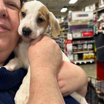 Thumbnail photo of olaf❄️ #1