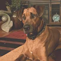 Thumbnail photo of Jethro #1