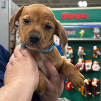 Thumbnail photo of hans❄️ #1