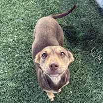 Thumbnail photo of Remy  #4