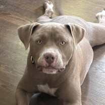 Thumbnail photo of Juke #1