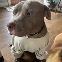 Thumbnail photo of Juke #2