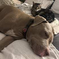 Thumbnail photo of Juke #3