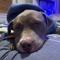 Thumbnail photo of Juke #4