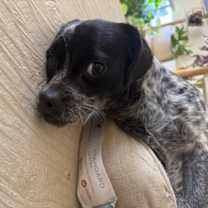 Thumbnail photo of Bradley #2