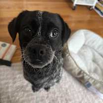 Thumbnail photo of Bradley #4