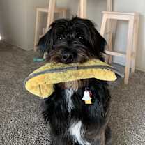 Thumbnail photo of Wilson #2