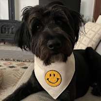 Thumbnail photo of Wilson #4