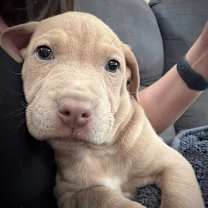 Thumbnail photo of 908 (2025) #1