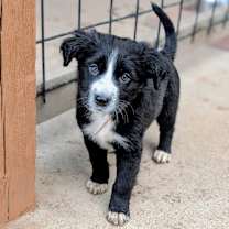 Thumbnail photo of 900 (2025) Miles  #1