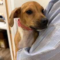 Thumbnail photo of 943 (2025) Bing #1