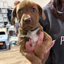 Thumbnail photo of 907 (2025) #1