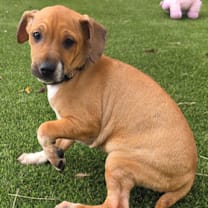 Thumbnail photo of 943 (2025) Bing #2