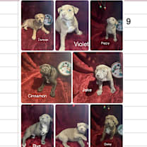 Thumbnail photo of 907 (2025) #2