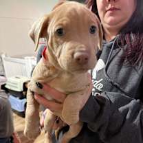 Thumbnail photo of 908 (2025) #3