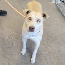 Thumbnail photo of Hans #2