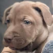 Thumbnail photo of 907 (2025) #3