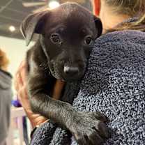 Thumbnail photo of 909 (2025) #3