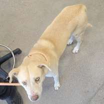 Thumbnail photo of Hans #3