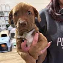 Thumbnail photo of 907 (2025) #4