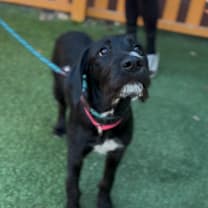 Thumbnail photo of Shine A2248039 #1