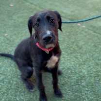 Thumbnail photo of Shine A2248039 #3