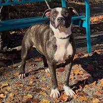 Thumbnail photo of Madam #3