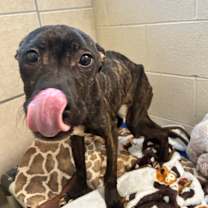 Thumbnail photo of Mootsy #2