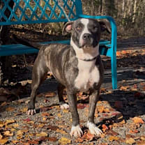 Thumbnail photo of Madam #4