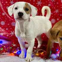 Thumbnail photo of elsa❄️ #1