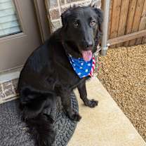 Thumbnail photo of Bruno #1