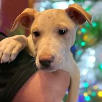 Thumbnail photo of Harrison #1