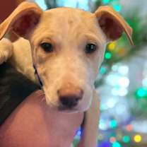 Thumbnail photo of Harrison #2