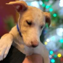 Thumbnail photo of Harrison #3