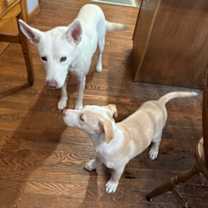 Thumbnail photo of Harrison #4