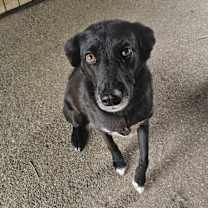 Thumbnail photo of Meeka #1