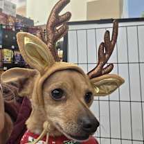 Thumbnail photo of CHARLIE #1