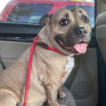 Thumbnail photo of Tim Tam - 2 #3