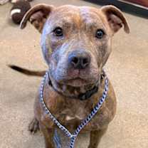 Thumbnail photo of Millie Bobby 112 #1