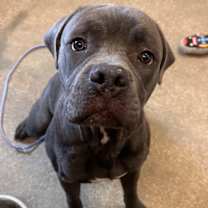 Thumbnail photo of Everest II 29 #2