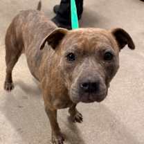 Thumbnail photo of Millie Bobby 112 #2