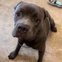 Thumbnail photo of Everest II 29 #3