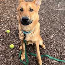 Thumbnail photo of Stocking #2