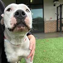 Thumbnail photo of Empress #3