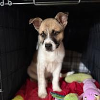 Thumbnail photo of Archer #1